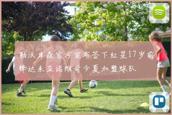 勒沃库森官方宣布签下红星17岁前锋达米亚诺维奇今夏加盟球队