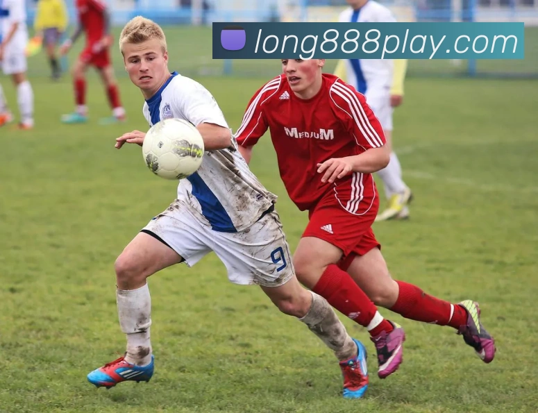 多媒体互动体验